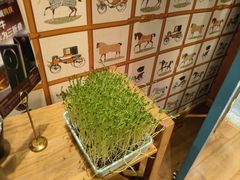 -五星桥原切肥牛火锅·30年专注好牛肉(湖塘店)