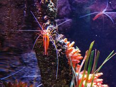 -沈阳海洋探索中心