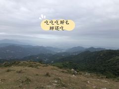 -大姆山草场