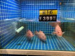 -金龙·打边炉(南京西路店)