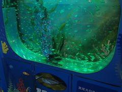 -沙沙哗啦海洋馆(华宇百花谷店)