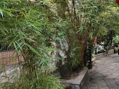 -小洲村