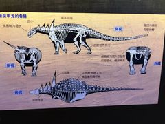 -广东省博物馆
