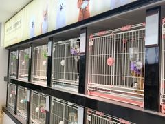 -翊宠yipet猫狗购宠庄园