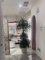 点击看大图 -小阿福儿童摄影(摩尔城店)