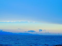 -福田红树林生态公园