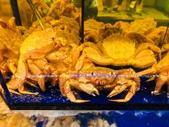 -蟹道乐(道顿堀本店)