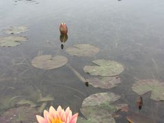 -桂溪生态公园