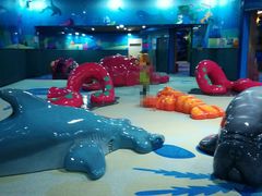 -青岛嘉年华主题乐园