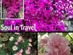 鸟语花香-陶野咖啡·面包披萨