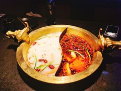-锅说大脸毛肚重庆老火锅(佐阾店)
