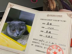 -奈斯宠物医院·核磁CT·异宠专科·内镜(中南店)