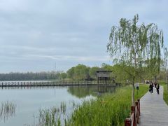 -溱湖国家湿地公园