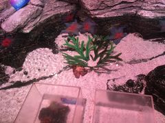 -沈阳海洋探索中心