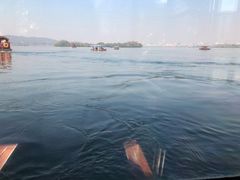 -西湖外事游船(花港观鱼码头)