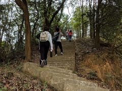 -广州市帽峰山景区