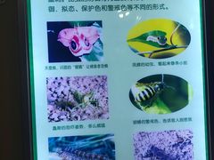-上海昆虫博物馆