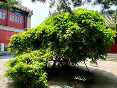 -大钟寺古钟博物馆