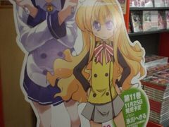 -Animate(秋叶原本馆)