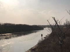 -春花秋色城市公园