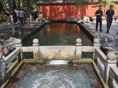 -百脉泉景区