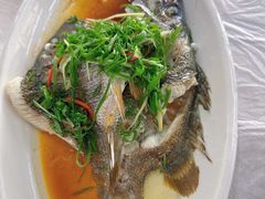 -众味海鲜大排档·活海鲜·潮汕味(南澳店)