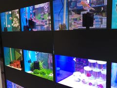 -三旗百汇商品城