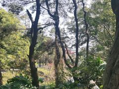 -三水森林公园