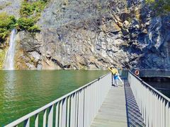 -上海辰山植物园