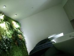 -M Hair造型