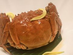 -九福楼大酒店