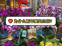 -盒马鲜生(丁香国际店)