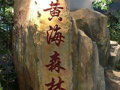 -黄海国家森林公园