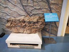 -延庆地质公园博物馆