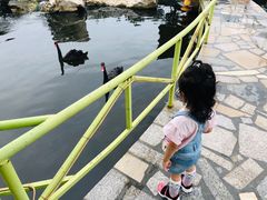 -八景休閒山莊  廣東十大名山莊