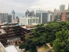 -香港大学