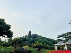 -红花山公园