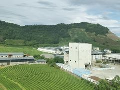 -武夷山旧街壹号溪岸旅馆(三姑度假区店)