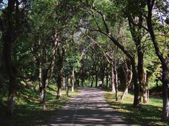 -燕晗山郊野公园