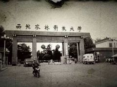 校门-西北农林科技大学(北校区)