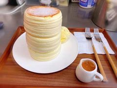 -王守财小山園