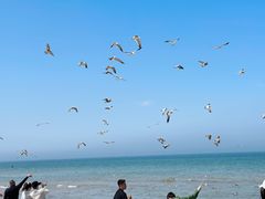 -那香海钻石沙滩浴场