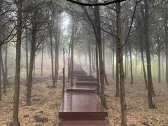 -北京十三陵国家森林公园蟒山景区