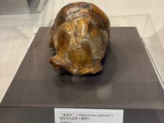 -周口店北京人遗址公园
