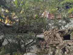 -秋霞圃