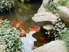 -上海市皮肤病医院(武夷路院区)