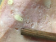 松仁小肚-北京稻香村(西单购物中心店)