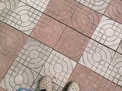 -广东茂名森林公园