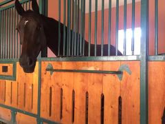 -月河湾马术俱乐部(朝阳店)