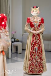 -南京宝娜嫁衣婚纱礼服馆(中央路店)